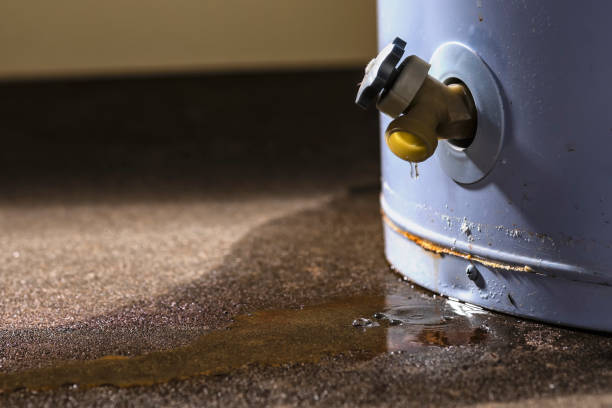 Best Local water damage restoration  in Paradise, NV