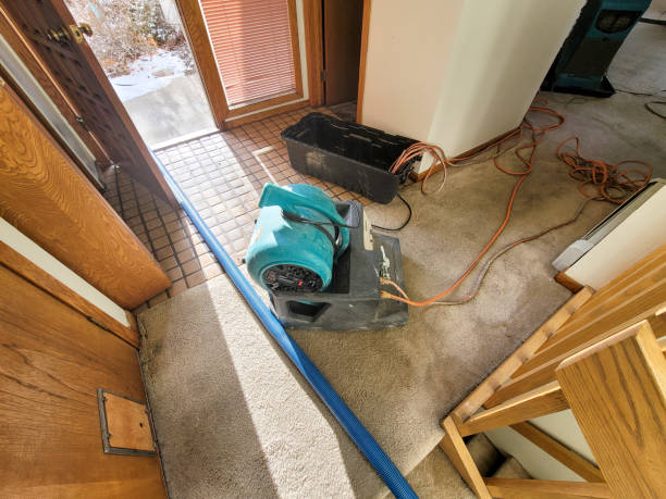 Reliable Paradise, NV Water damage restoration Solutions