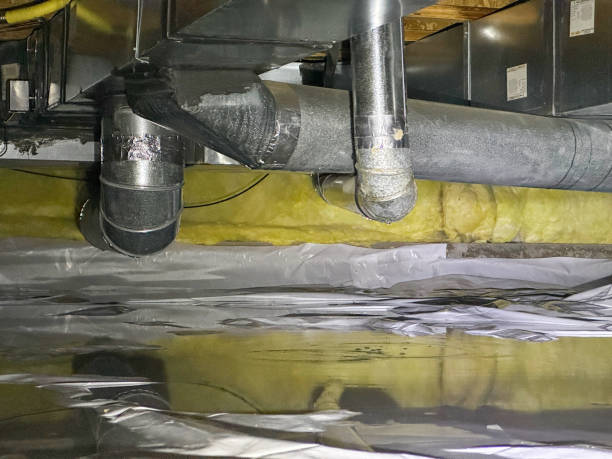 Best Water damage restoration experts  in Paradise, NV