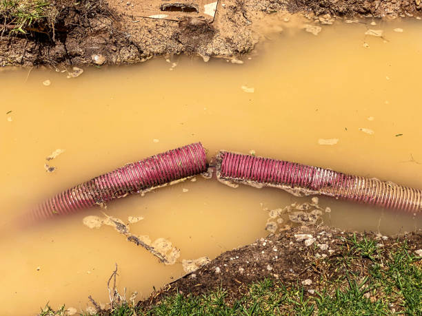 Best Residential water damage restoration  in Paradise, NV
